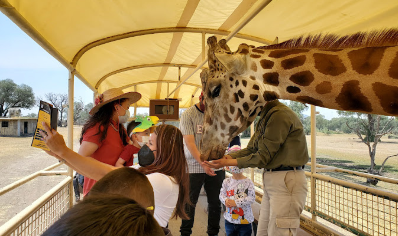 zoologico edomex dia del niño