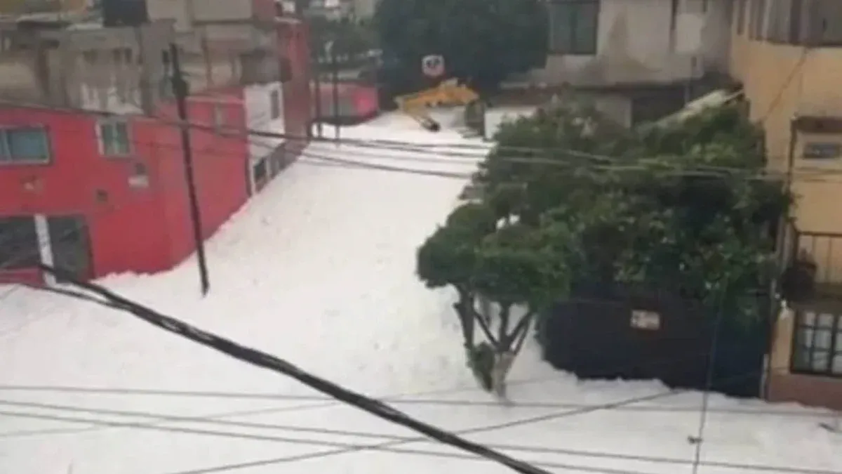ESPUMA NAUCALPAN