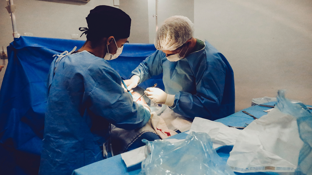 edomex primer lugar en donaciones de organos