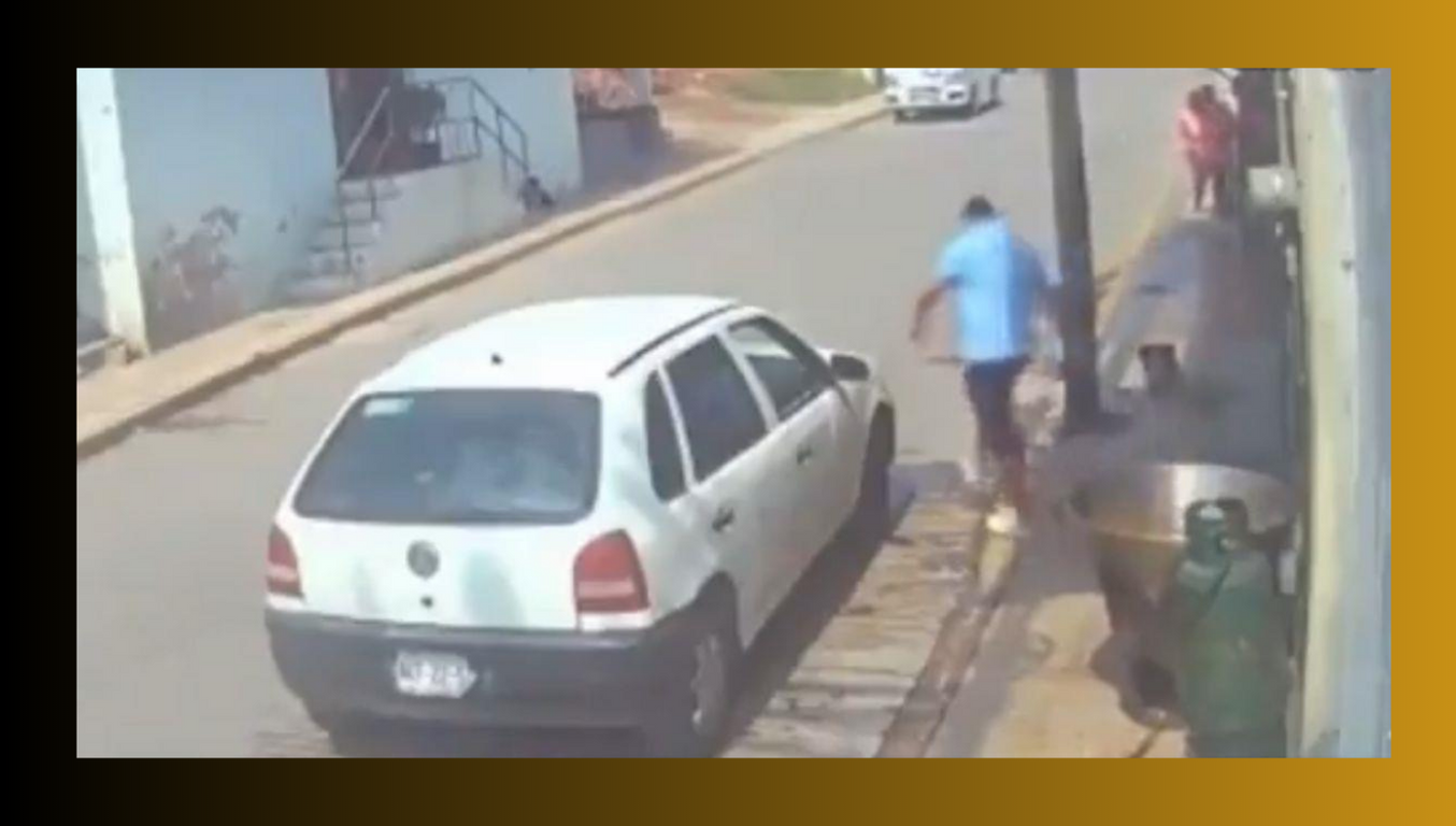 edomex perro lanzado cazo 