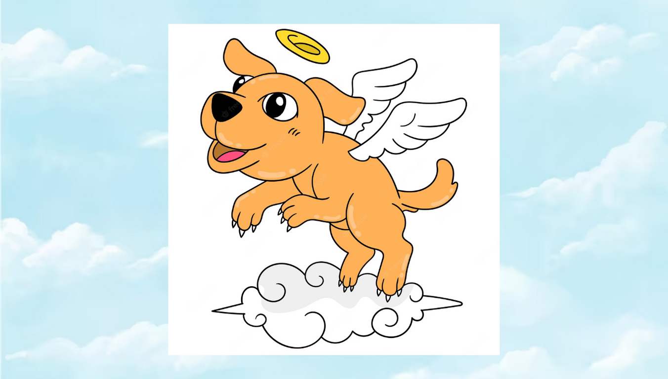 perro tecamac edomex