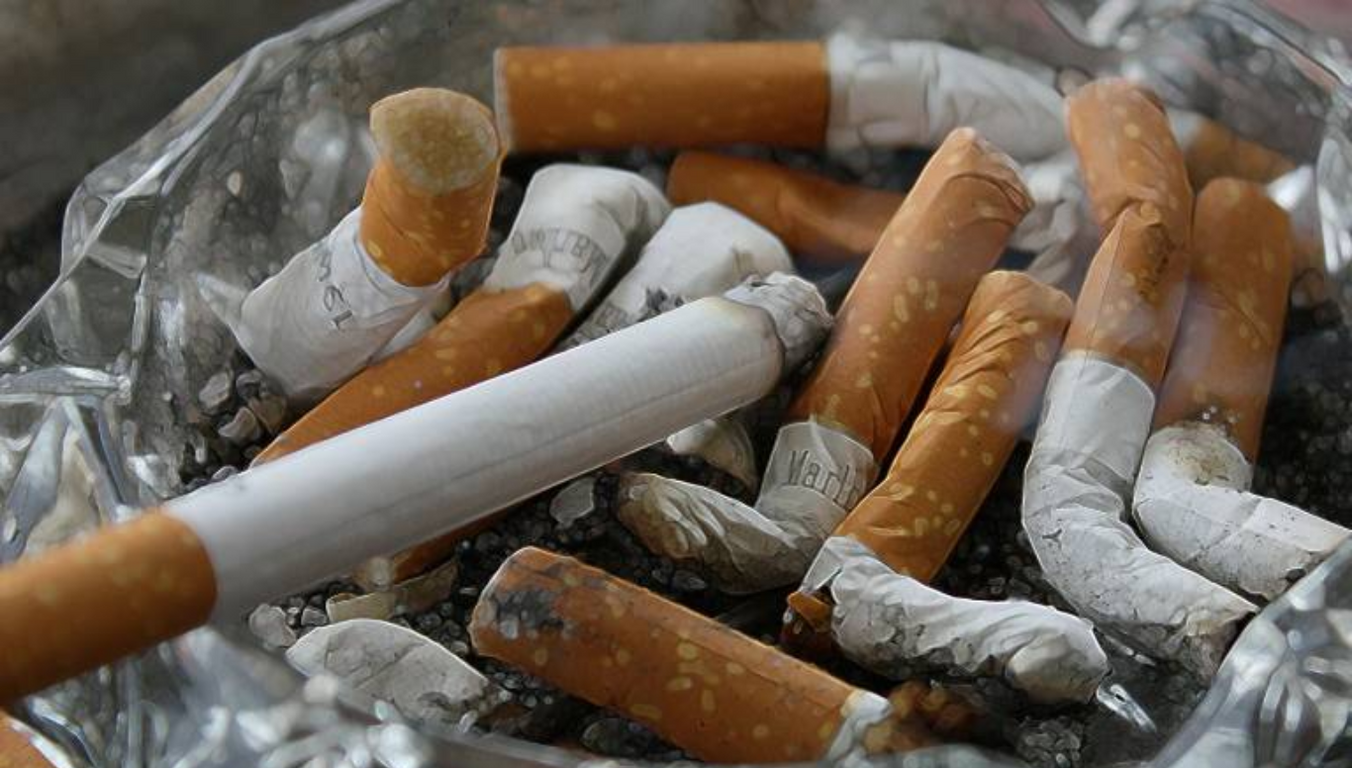 edomex fumar prohibido