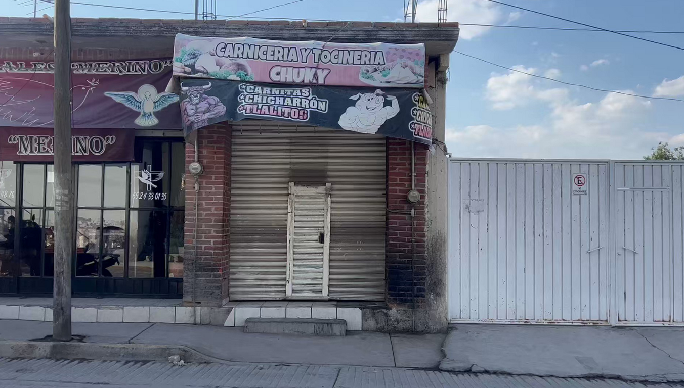 perrito scooby tecamac sergio n