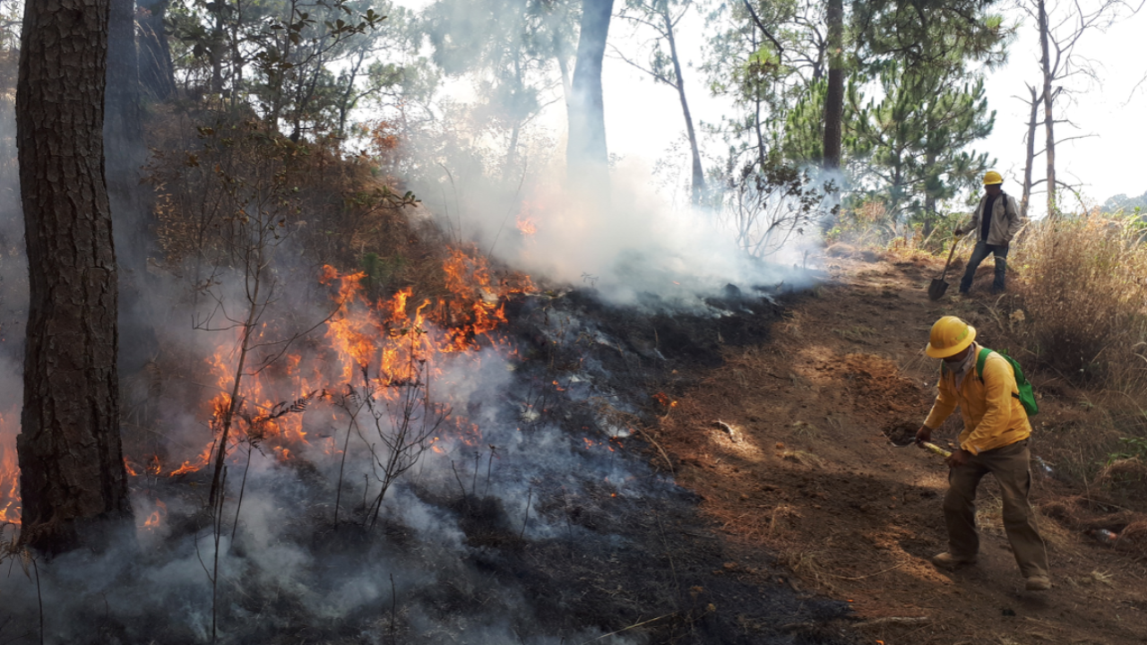 Secretaría del Campo del Gobierno del Estado de México informa sobre incendio forestal