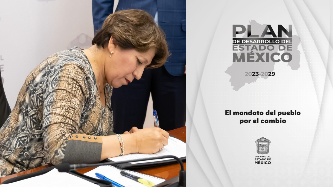 delfina planes