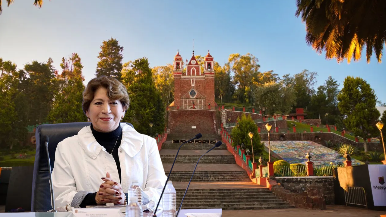 delfina metepec
