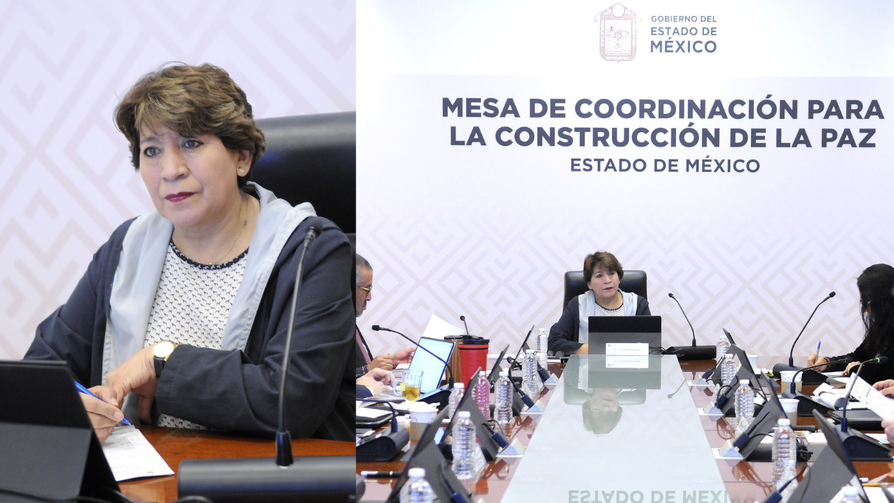 edomex delfina