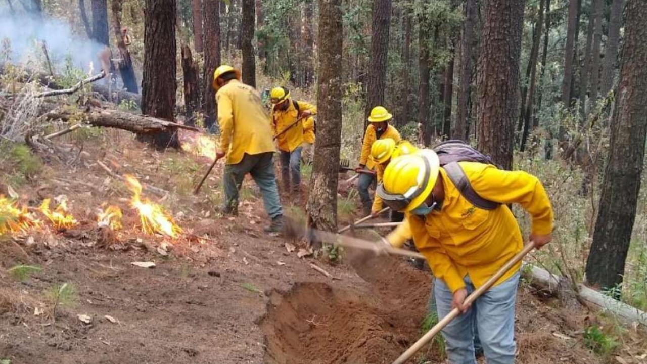 Gobierno de Edomex refuerza prevención y combate de incendios forestales