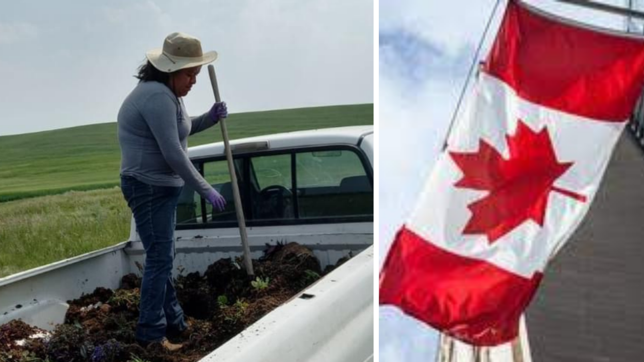 ¿Quieres trabajar en Canadá? Aquí te decimos cómo