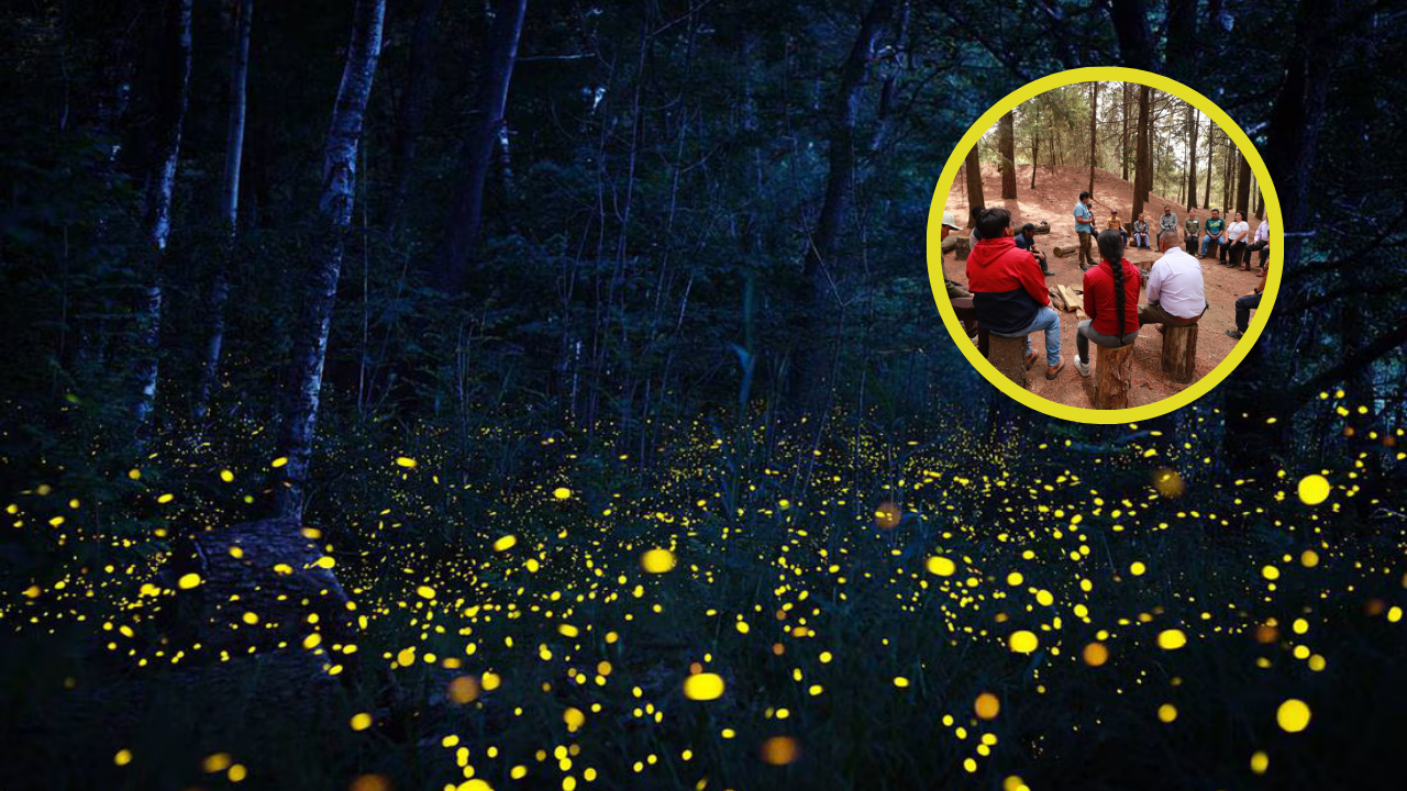 Edomex está listo para recibir a las luciérnagas