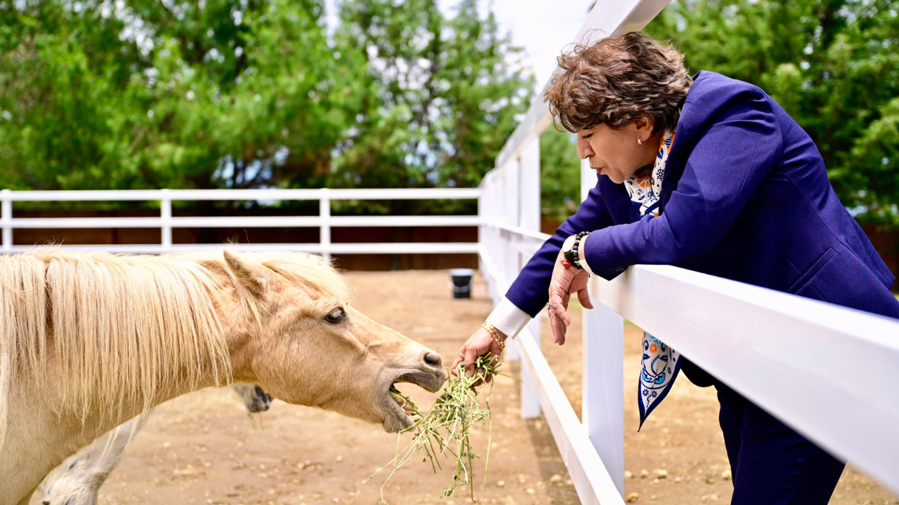Delfina Gómez apertura el Ciclo Escolar 2024-2025 de la UAEMéx con la entrega del Centro Integral Multiespecie
