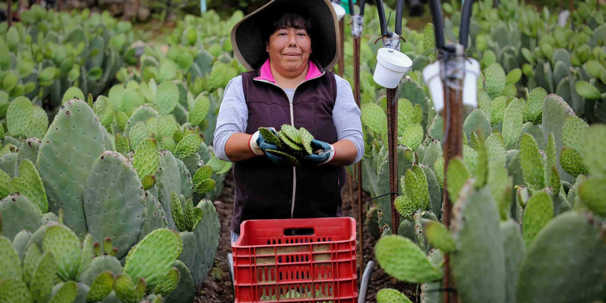 La Expo Agroalimentaria busca impulsar los productos mexiquenses.