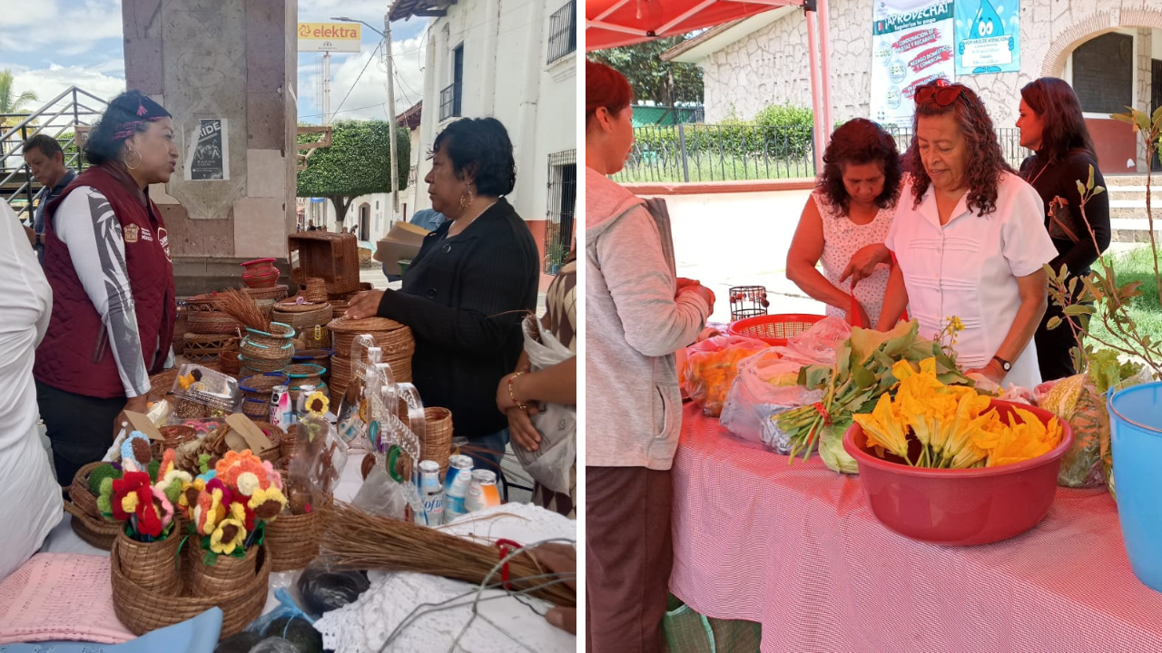 edo mex tianguis colibri derrama economica