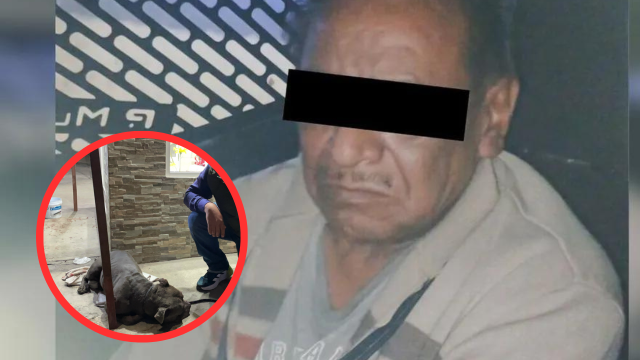 En Ecatepec, un hombre golpeó con un tubo a un perrito; ya fue detenido