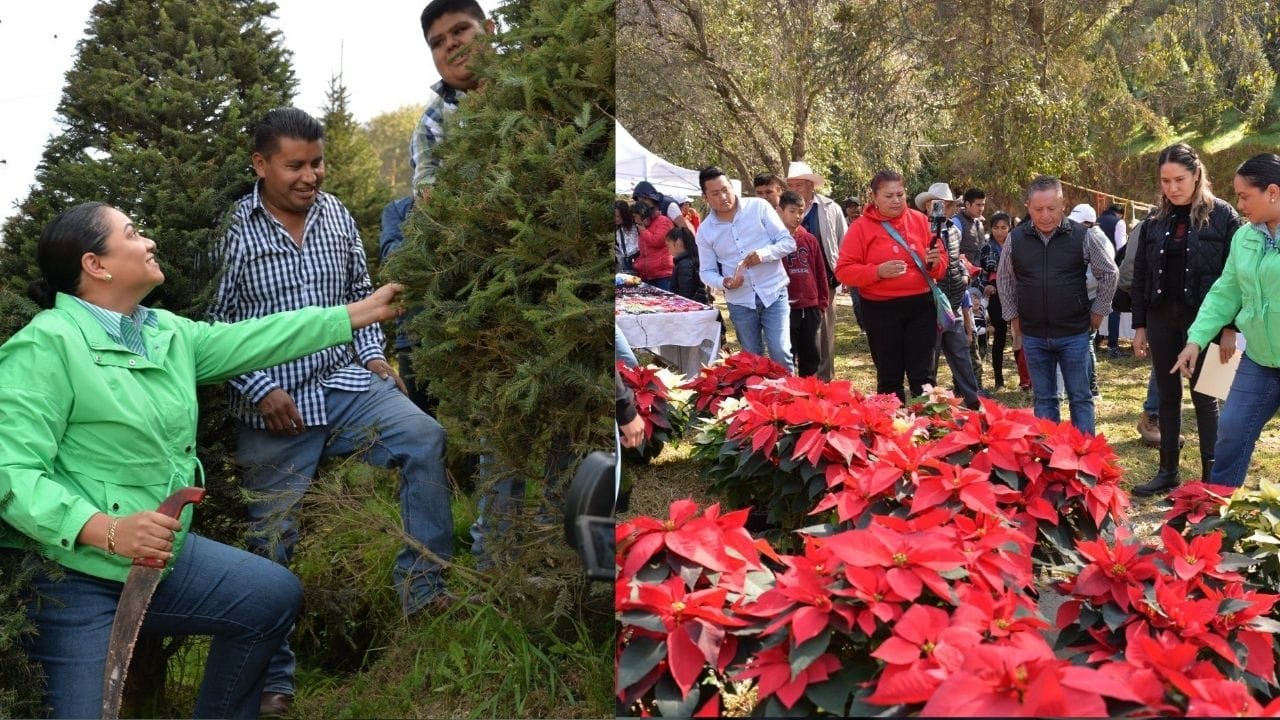 Esta Navidad decora tu hogar con árboles y artesanías de Xonacatlán