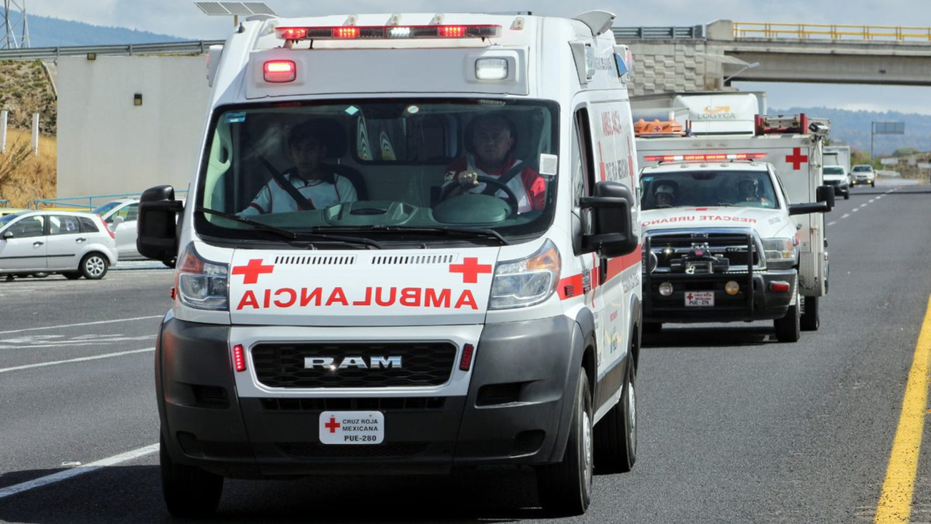 Toluca: Encuentran cuerpo sin vida de bebé en construcción