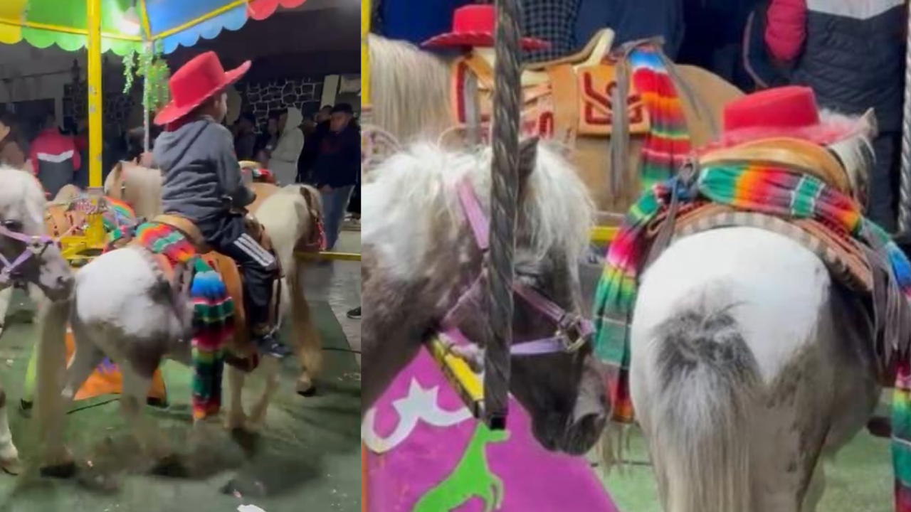 Rescate de ponis.