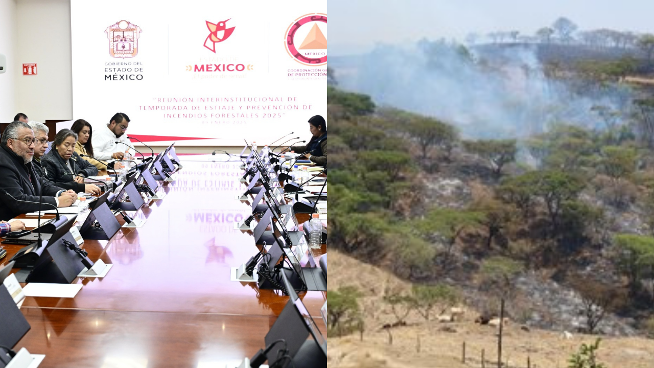 Incendios forestales.