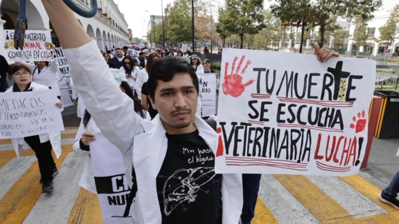 Se suman veterinarios de Edomex a protesta nacional por el caso de Héctor