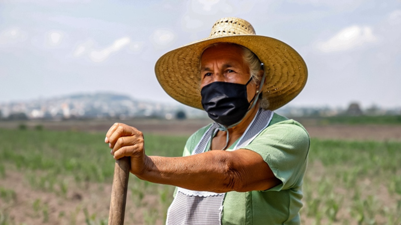 Subsidios para agricultores en Edomex, así puedes obtenerlos