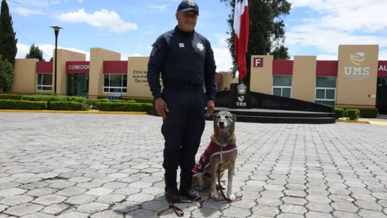 26 perritos cumplen su servicio y van a Almoloya de Juárez para su jubilación
