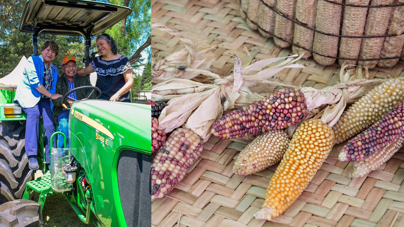 Entrega Delfina Gómez apoyos millonarios a productores de maíz nativo