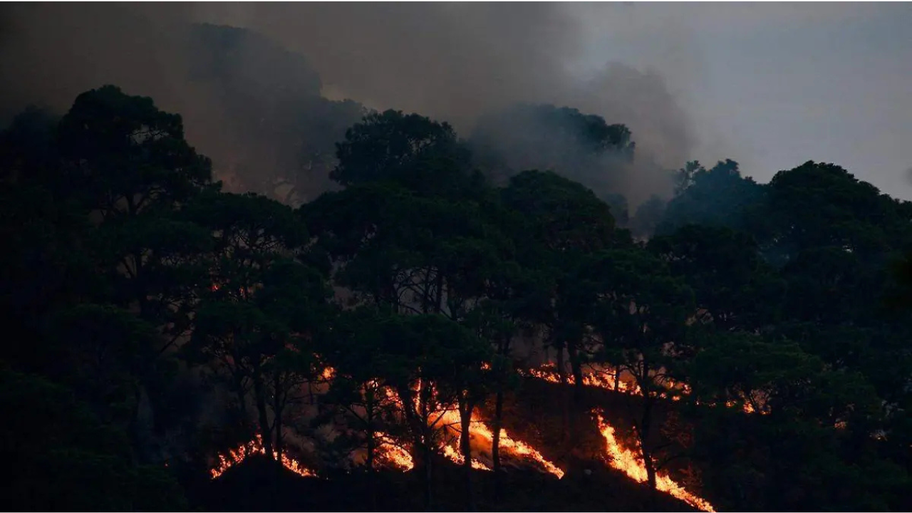 En tiempo récord: Edomex detecta incendios con torres de vigilancia