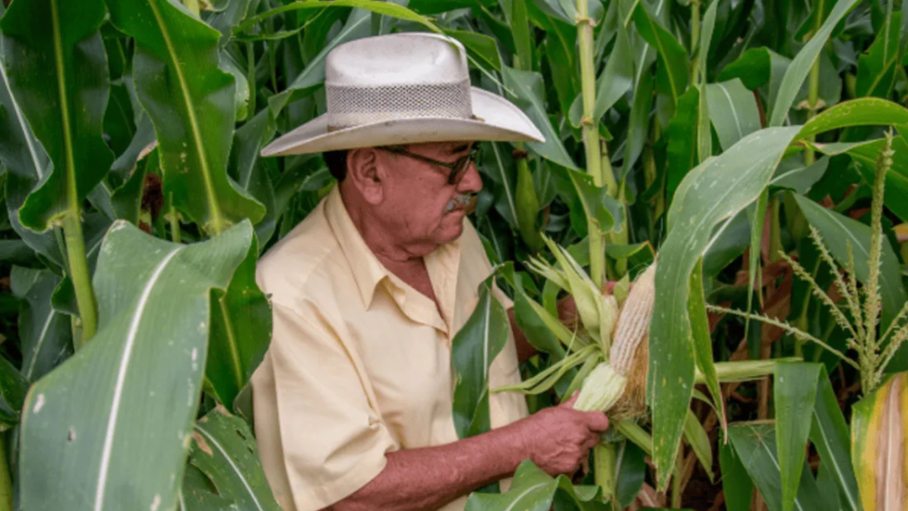 Transformando el campo Edomex 2025: fechas de registro
