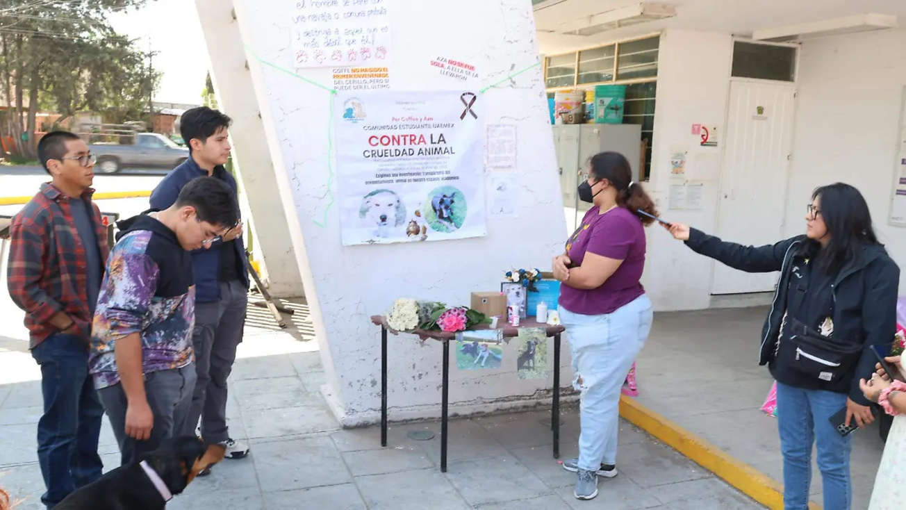 Denuncian intoxicación de perros en la UAEMex