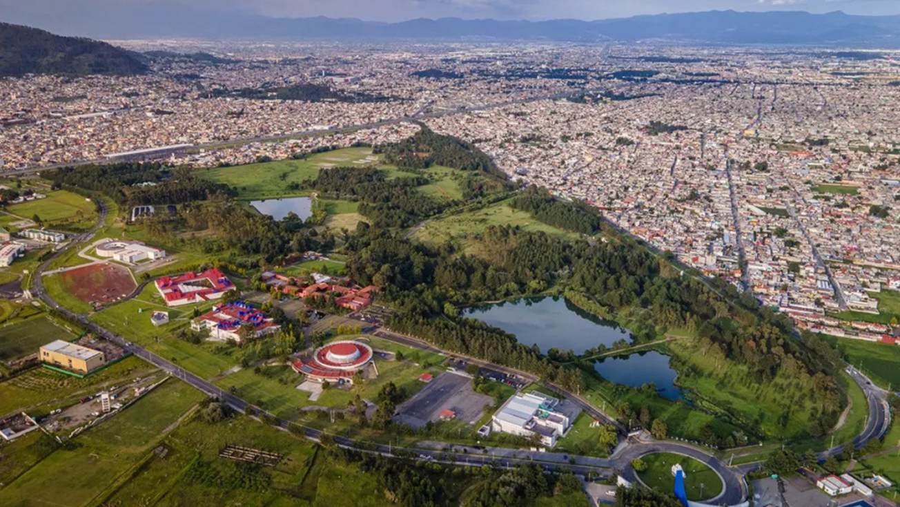 Plaga en el Parque Alameda 2000: 90% de los árboles estarían afectados