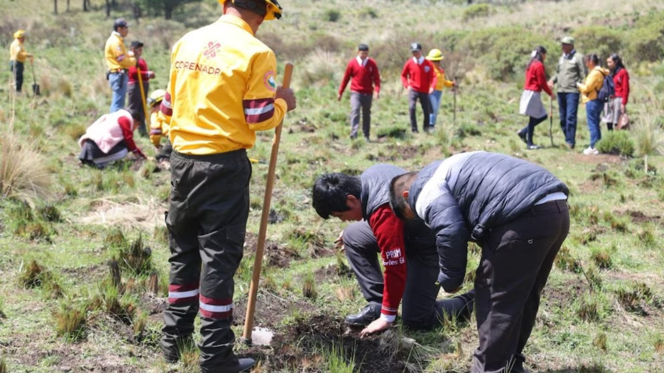 Inicia campaña de reforestación en 24 municipios del Edomex