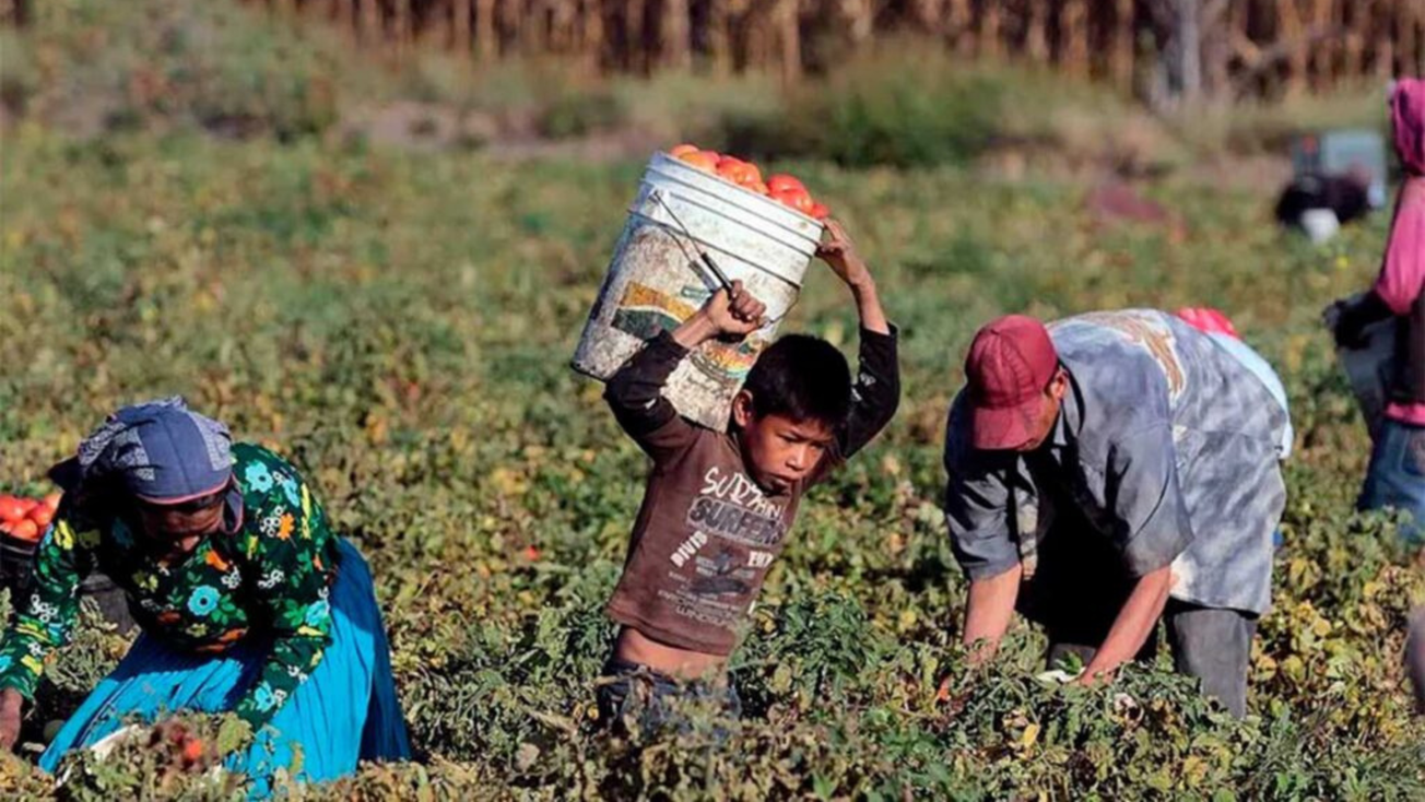 Más de 318 mil menores trabajando en Edomex