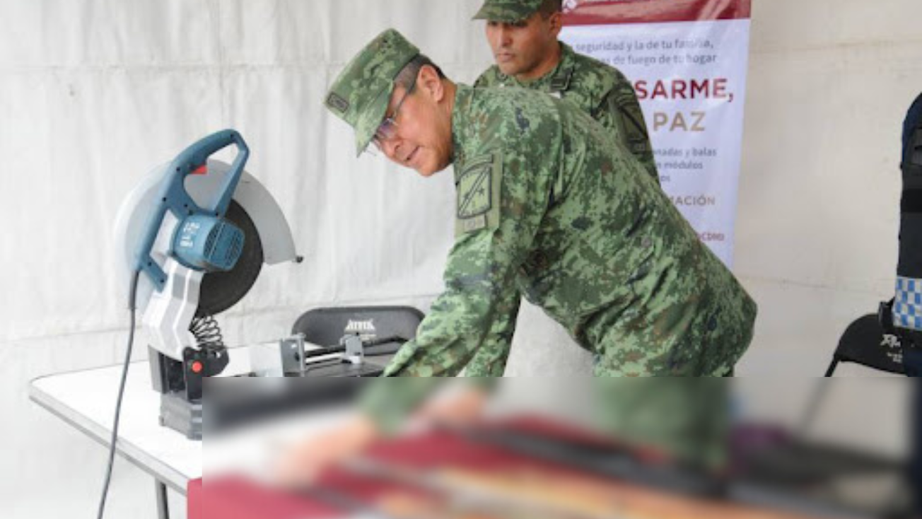 Sí al Desarme, Sí a la Paz en Edomex