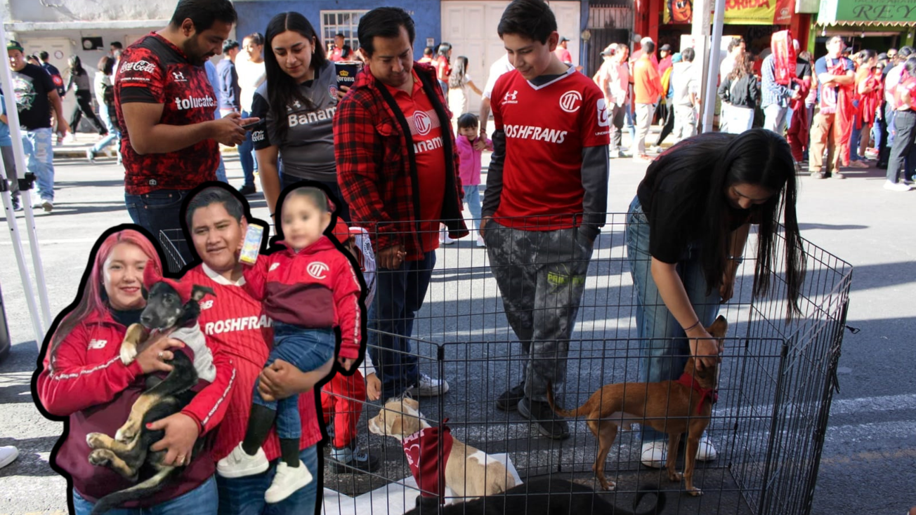 “La Mejor Jugada es Adoptar” ya suma 90 perritos con hogar