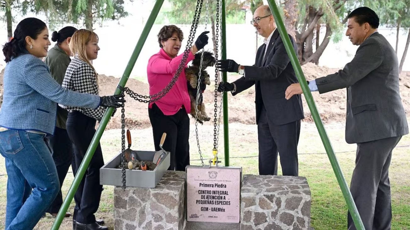 Alistan Centro de Atención a Pequeñas Especies en Texcoco
