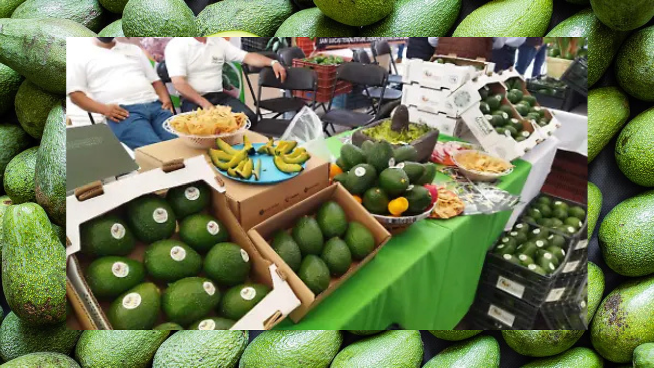 Feria del Aguacate 2025 en Edomex
