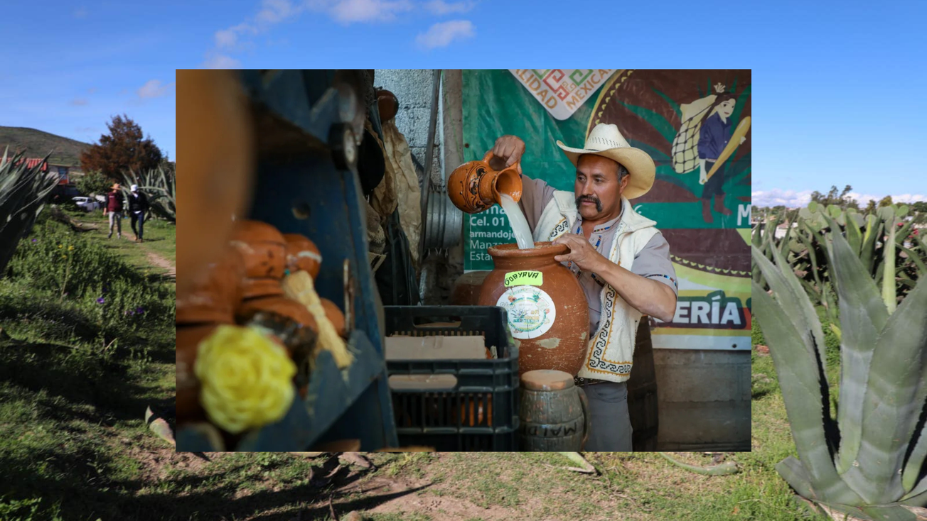 Abren nuevos espacios para la comercialización de pulque en Edomex