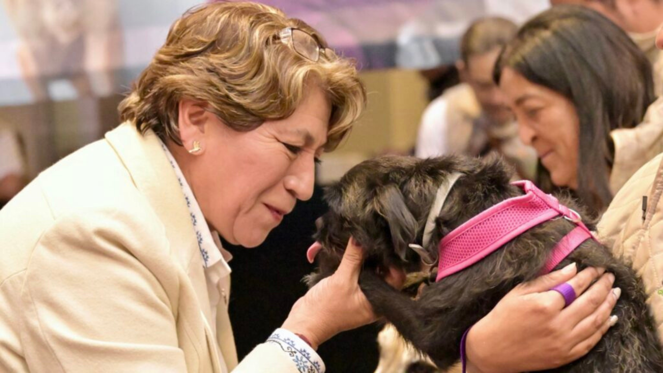 Edomex impulsa estrategia CERA para combatir maltrato animal