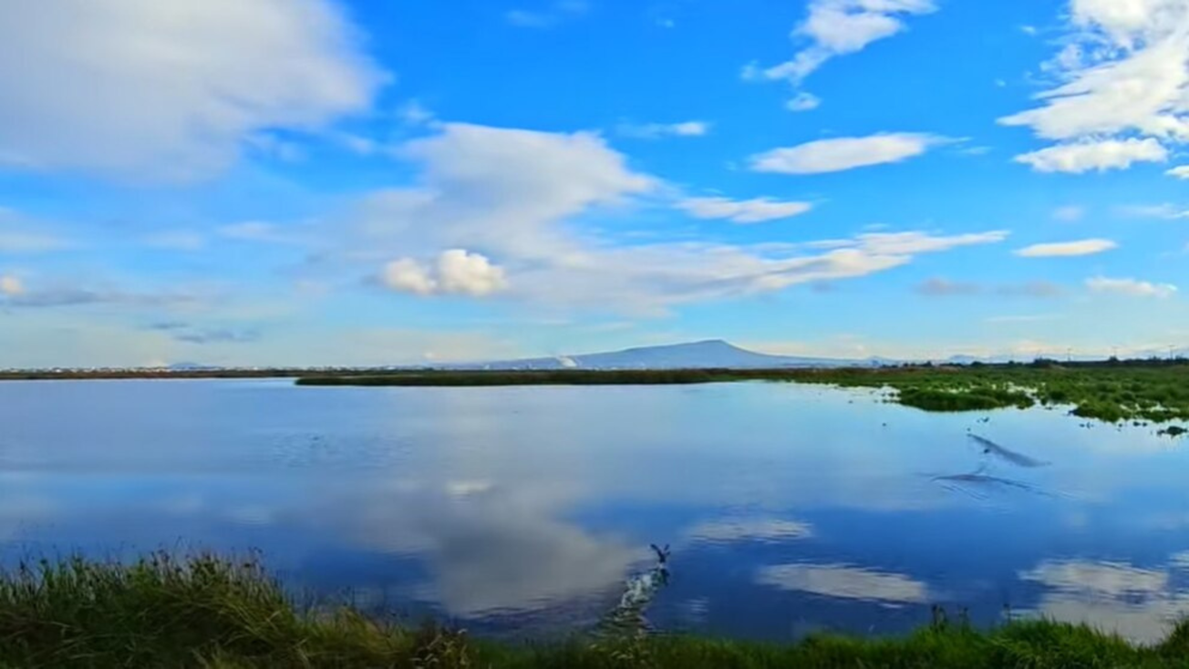 Lago de Texcoco se recupera tras temporada de lluvias