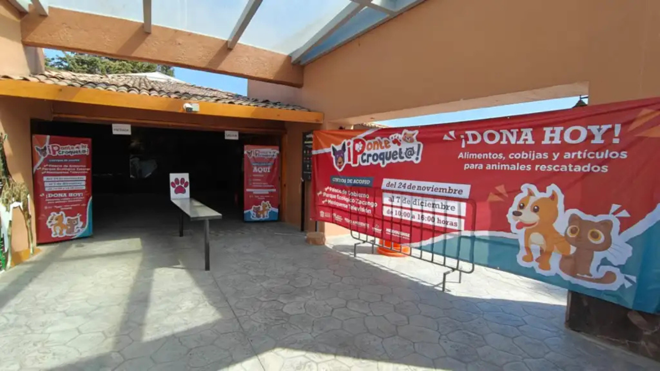 Lanza Edomex campaña "Ponte Croquet@" para ayudar a animales rescatados