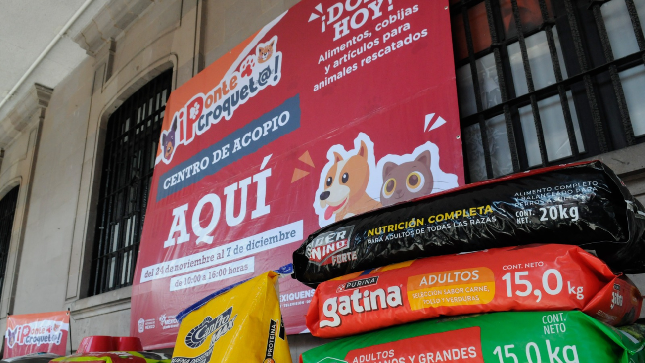 Campaña Ponte Croquet@ se amplia en Edomex