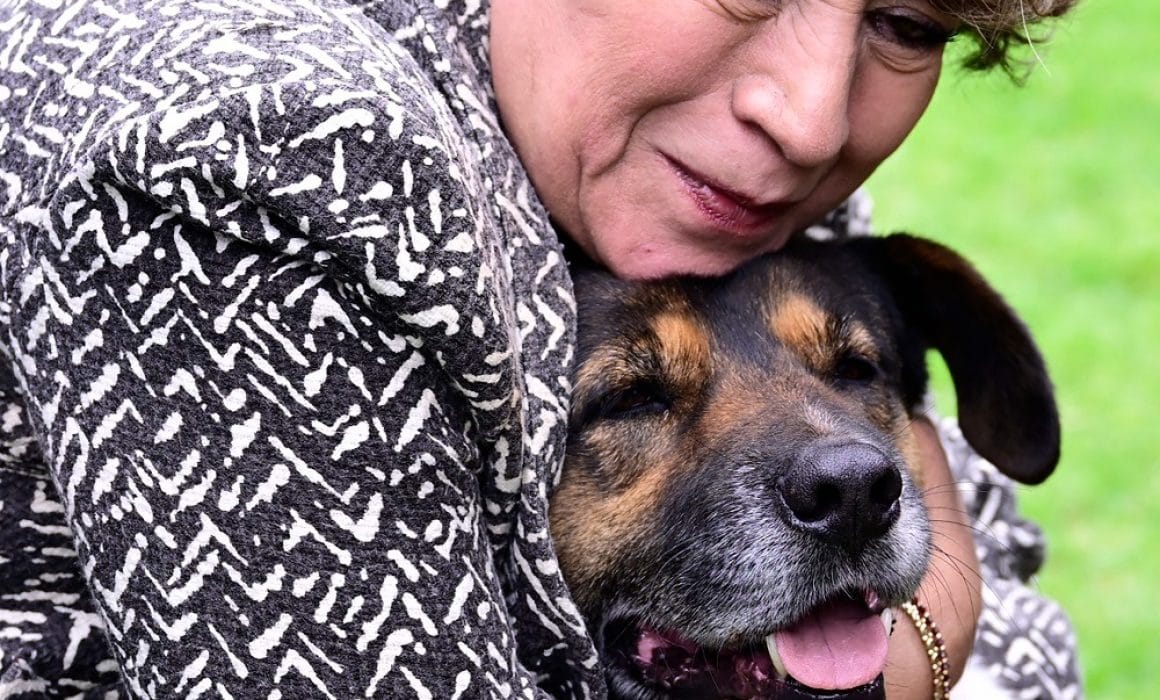 GEM subsidiará compromisos fiscales de organizaciones de protección animal