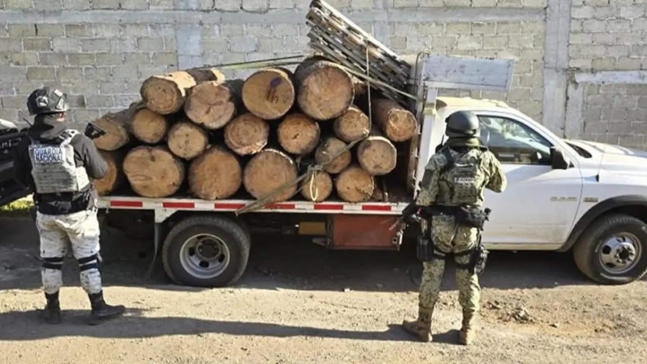 Protege Guardia Nacional bosques del Edomex contra tala lilegal