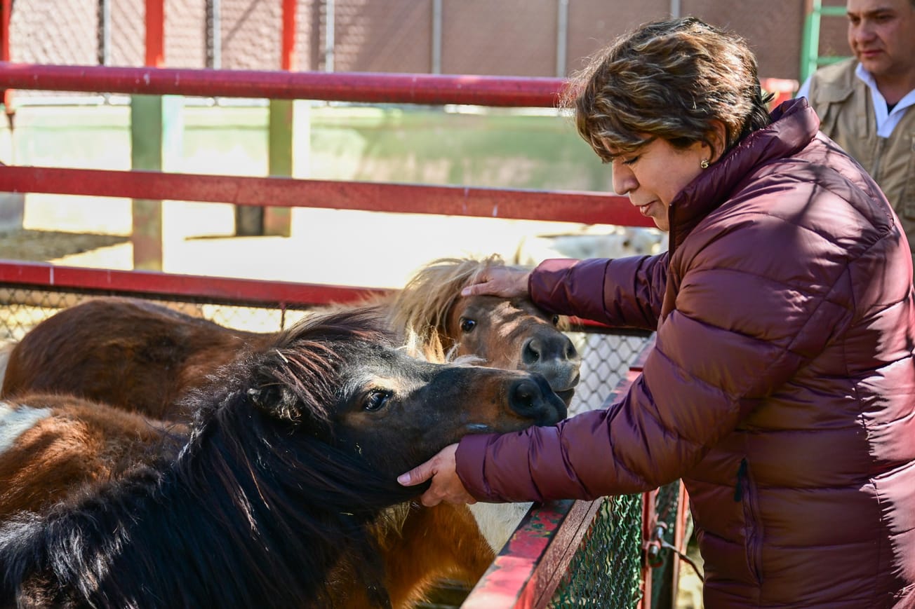 Recorre Delfina Gómez Zoológico Parque del Pueblo en Neza