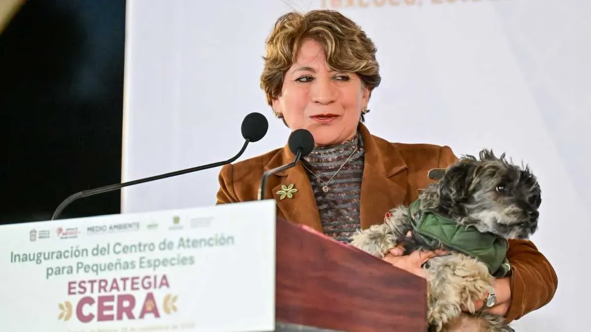 GEM implementa estrategia CERA contra maltrato y abandono animal