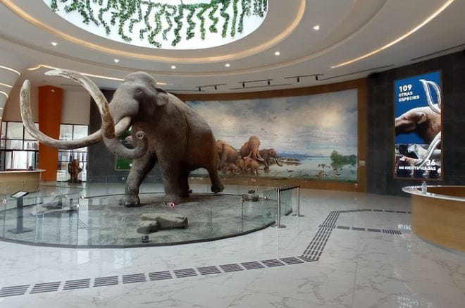 Reabrirá puerta el Museo del Mamut en Edomex