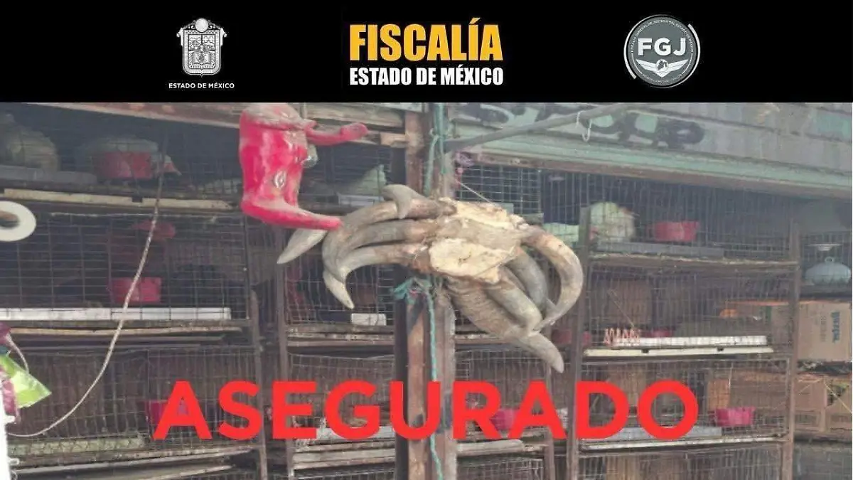 Rescatan de mercado del Edomex a 162 animales, hallan restos óseos de otros