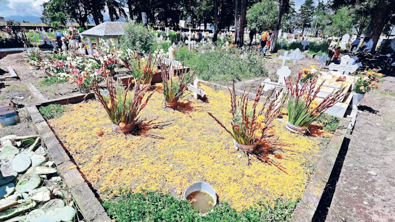 Edomex confirma que habrá panteones ecológicos para fin de año